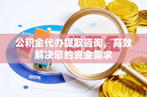 六龟公积金代办提取咨询，高效解决您的资金需求