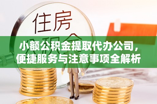 六龟小额公积金提取代办公司，便捷服务与注意事项全解析