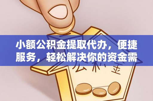 六龟小额公积金提取代办，便捷服务，轻松解决你的资金需求