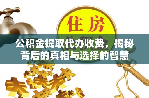 六龟公积金提取代办收费，揭秘背后的真相与选择的智慧