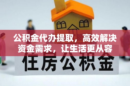 六龟公积金代办提取，高效解决资金需求，让生活更从容