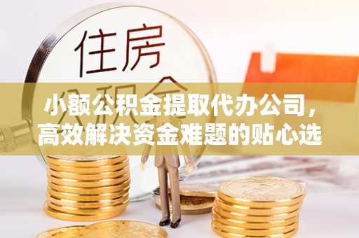 六龟小额公积金提取代办公司，高效解决资金难题的贴心选择