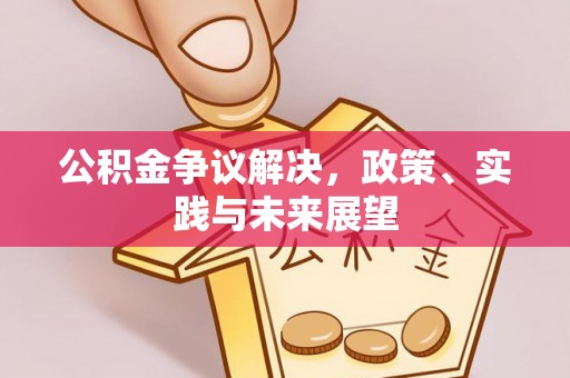 六龟公积金争议解决，政策、实践与未来展望