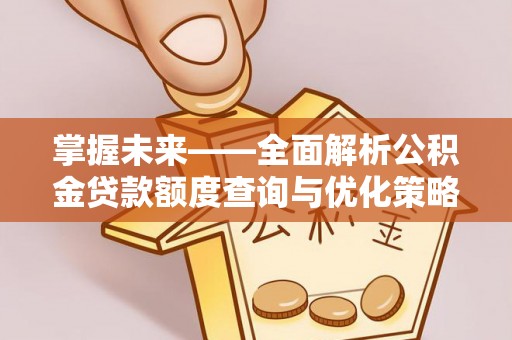 六龟掌握未来——全面解析公积金贷款额度查询与优化策略