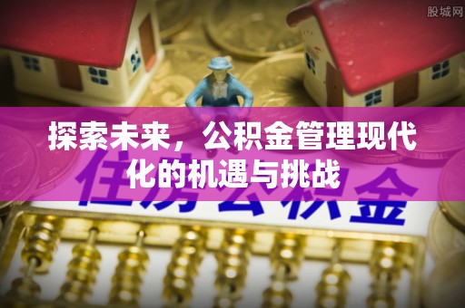 六龟探索未来，公积金管理现代化的机遇与挑战