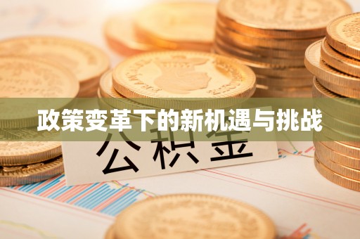六龟政策变革下的新机遇与挑战
