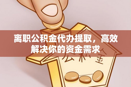 六龟离职公积金代办提取，高效解决你的资金需求