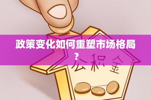 六龟政策变化如何重塑市场格局？