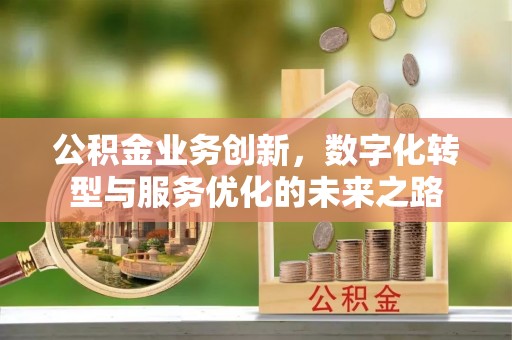 六龟公积金业务创新，数字化转型与服务优化的未来之路