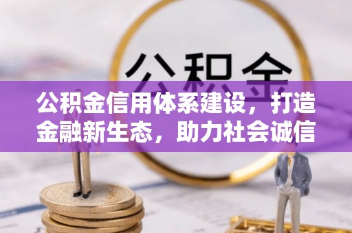六龟公积金信用体系建设，打造金融新生态，助力社会诚信发展