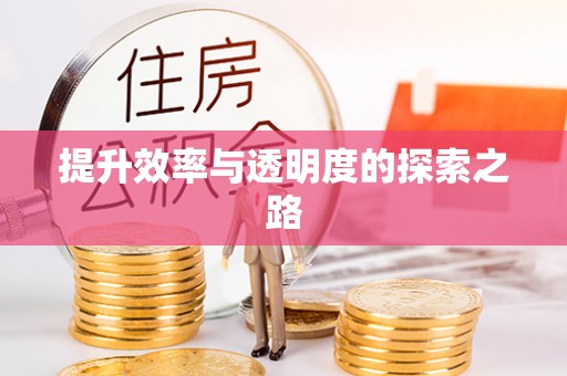 六龟提升效率与透明度的探索之路