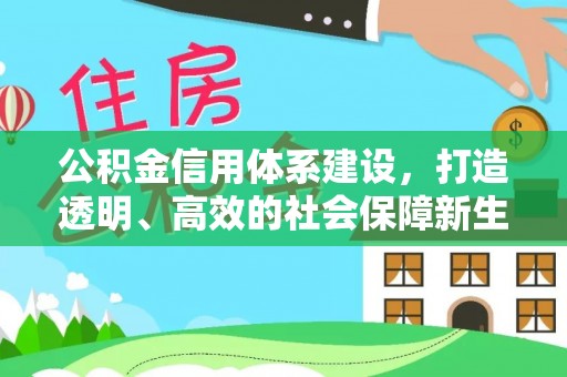 六龟公积金信用体系建设，打造透明、高效的社会保障新生态