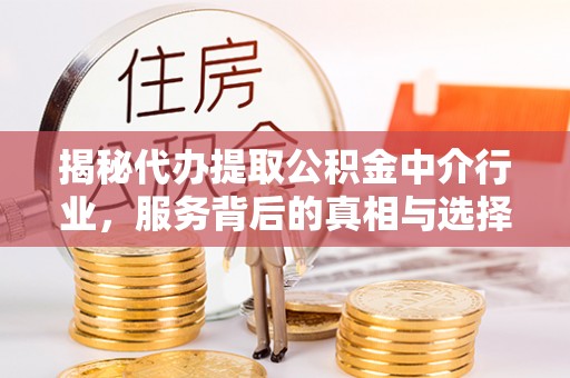 六龟揭秘代办提取公积金中介行业，服务背后的真相与选择指南