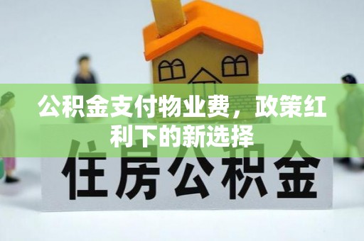 六龟公积金支付物业费，政策红利下的新选择