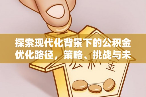 六龟探索现代化背景下的公积金优化路径，策略、挑战与未来展望