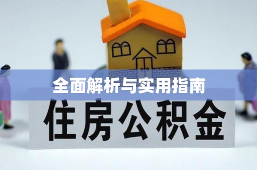 六龟全面解析与实用指南