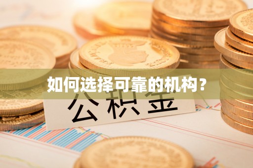 六龟如何选择可靠的机构？