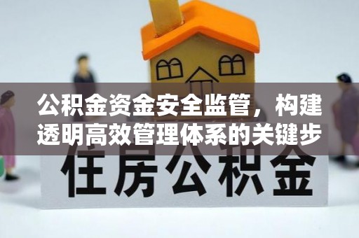 六龟公积金资金安全监管，构建透明高效管理体系的关键步骤