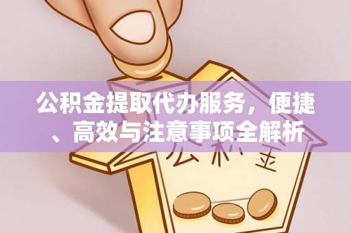 六龟公积金提取代办服务，便捷、高效与注意事项全解析