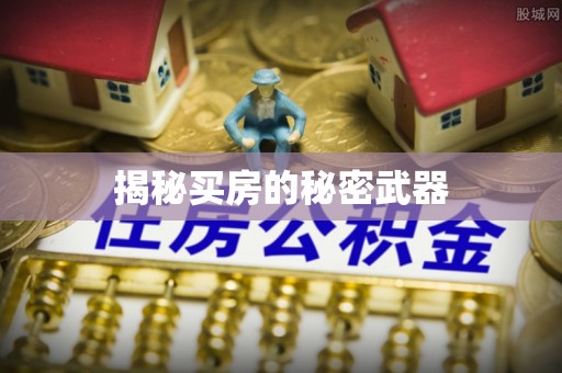 六龟揭秘买房的秘密武器