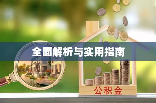 六龟全面解析与实用指南