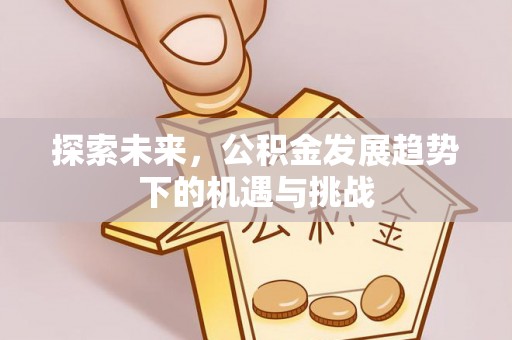 六龟探索未来，公积金发展趋势下的机遇与挑战