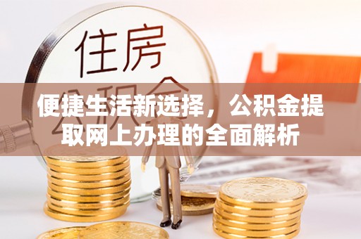 六龟便捷生活新选择，公积金提取网上办理的全面解析