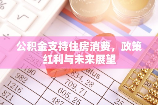 六龟公积金支持住房消费，政策红利与未来展望