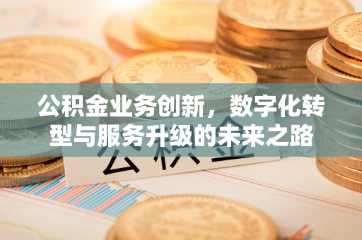六龟公积金业务创新，数字化转型与服务升级的未来之路