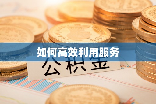 六龟如何高效利用服务