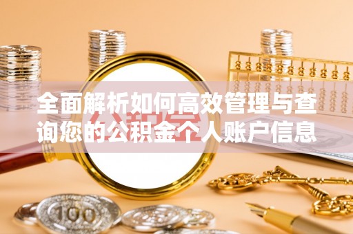 六龟全面解析如何高效管理与查询您的公积金个人账户信息