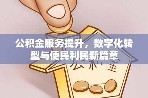 六龟公积金服务提升，数字化转型与便民利民新篇章