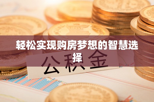 六龟轻松实现购房梦想的智慧选择