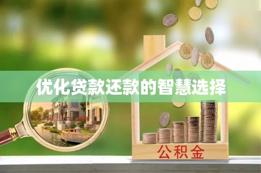六龟优化贷款还款的智慧选择