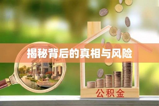 六龟揭秘背后的真相与风险