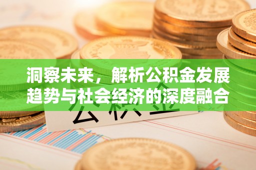 六龟洞察未来，解析公积金发展趋势与社会经济的深度融合
