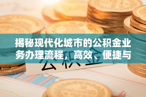 六龟揭秘现代化城市的公积金业务办理流程，高效、便捷与未来趋势