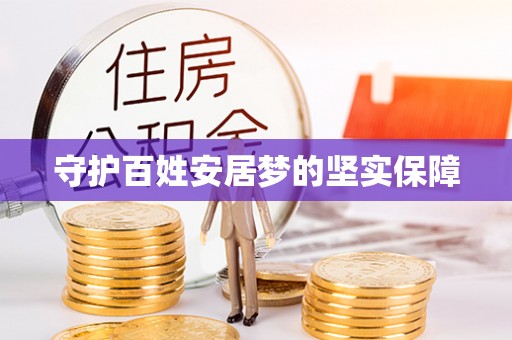 六龟守护百姓安居梦的坚实保障