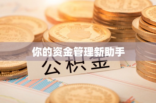 六龟你的资金管理新助手