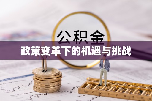 六龟政策变革下的机遇与挑战
