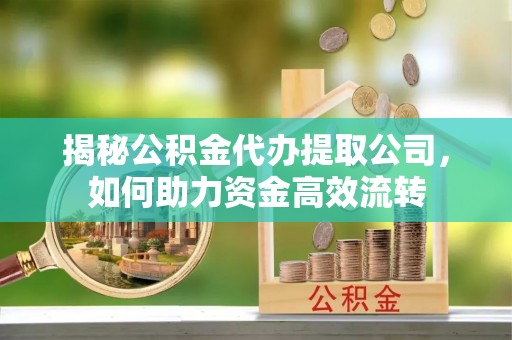 六龟揭秘公积金代办提取公司，如何助力资金高效流转
