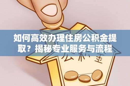 六龟如何高效办理住房公积金提取？揭秘专业服务与流程