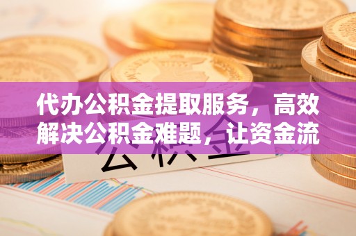六龟代办公积金提取服务，高效解决公积金难题，让资金流动更自由