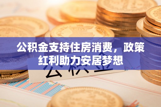 六龟公积金支持住房消费，政策红利助力安居梦想