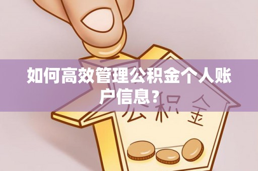 六龟如何高效管理公积金个人账户信息？