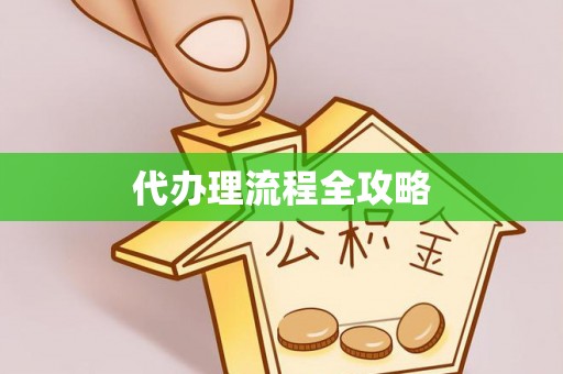 六龟代办理流程全攻略