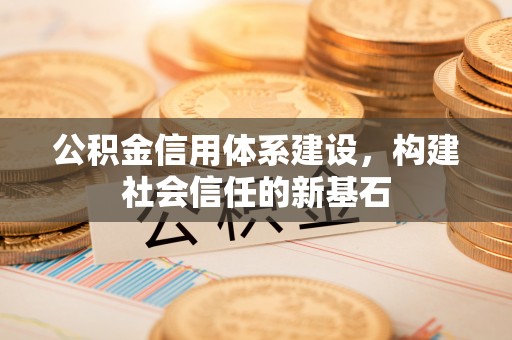 六龟公积金信用体系建设，构建社会信任的新基石