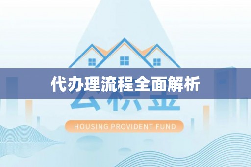 六龟代办理流程全面解析