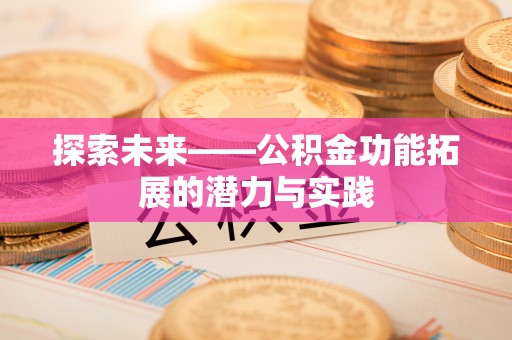 六龟探索未来——公积金功能拓展的潜力与实践