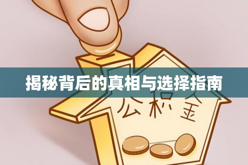 六龟揭秘背后的真相与选择指南